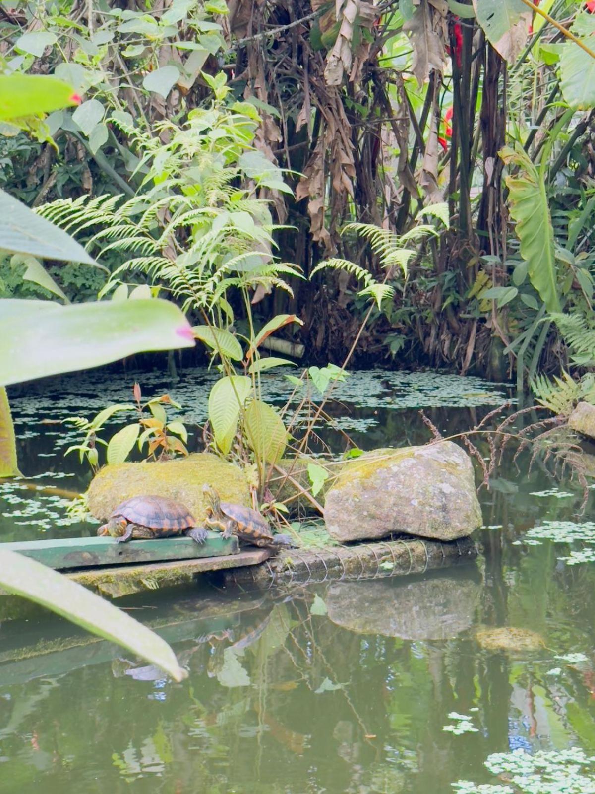 Casa Natural Mystic * Ubatuba