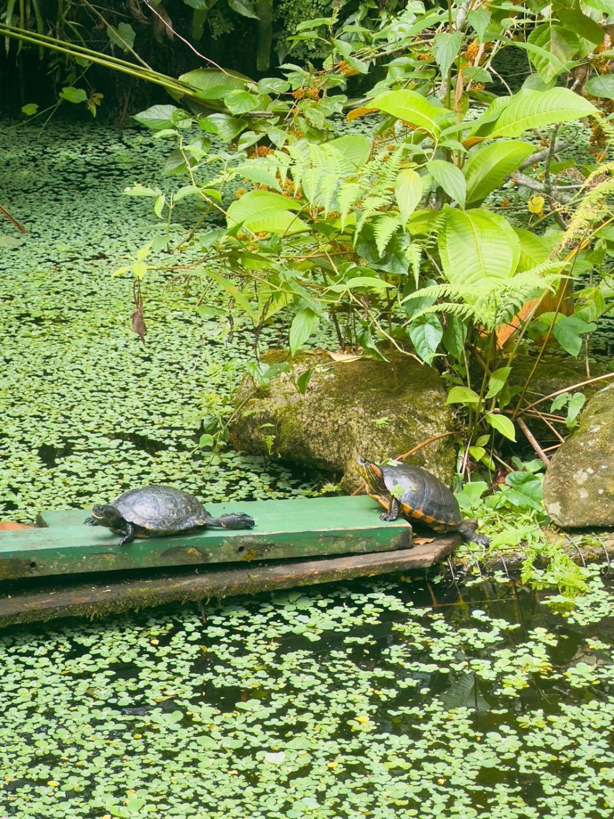 Casa Natural Mystic Casa de férias