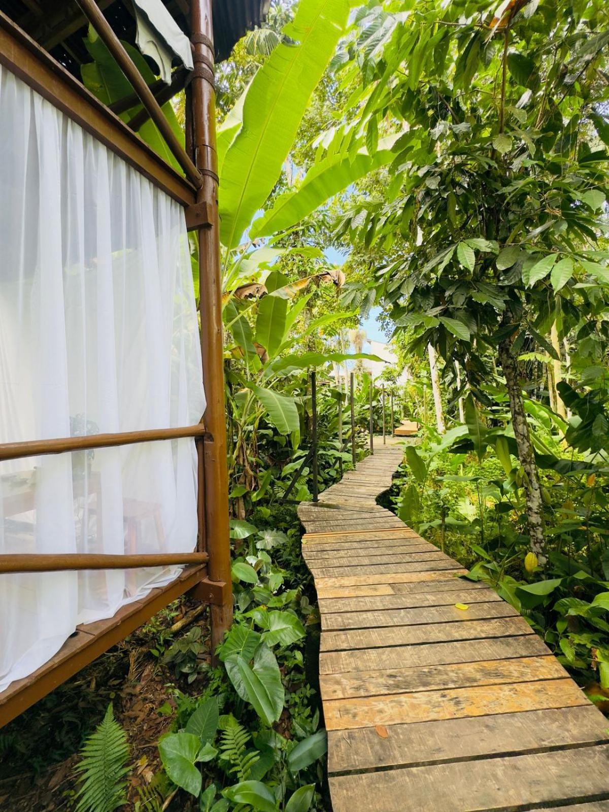 Casa Natural Mystic