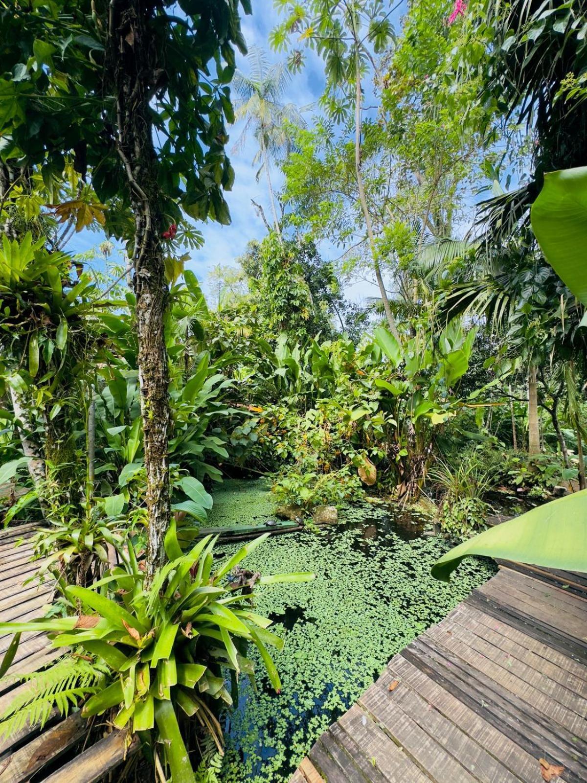 Casa Natural Mystic Casa de férias